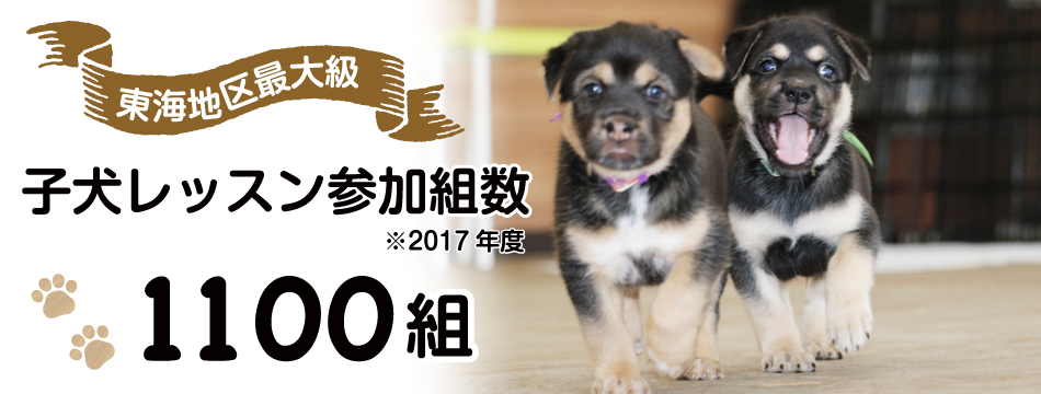 岐阜 一宮近郊の犬のしつけ教室 飼い主が学ぶ 犬のしつけ教室onelife パピークラス 成犬クラス 問題行動改善